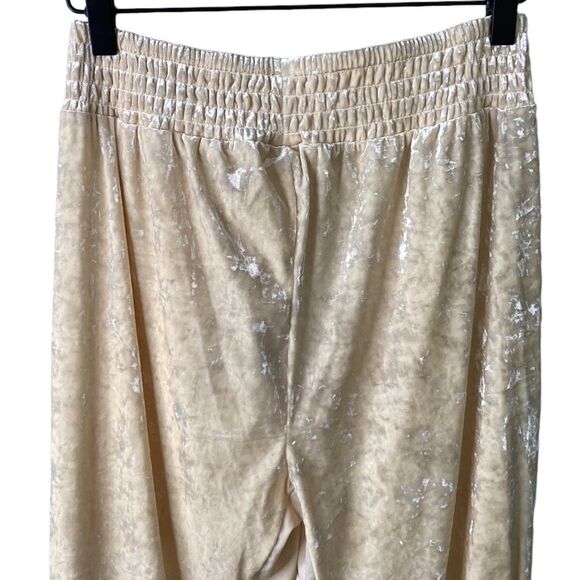 We Are HAH 1 Track Mind Crushed Velvet Jogger Pant in Almond Milk Slouchy Mesh - Picture 8 of 16